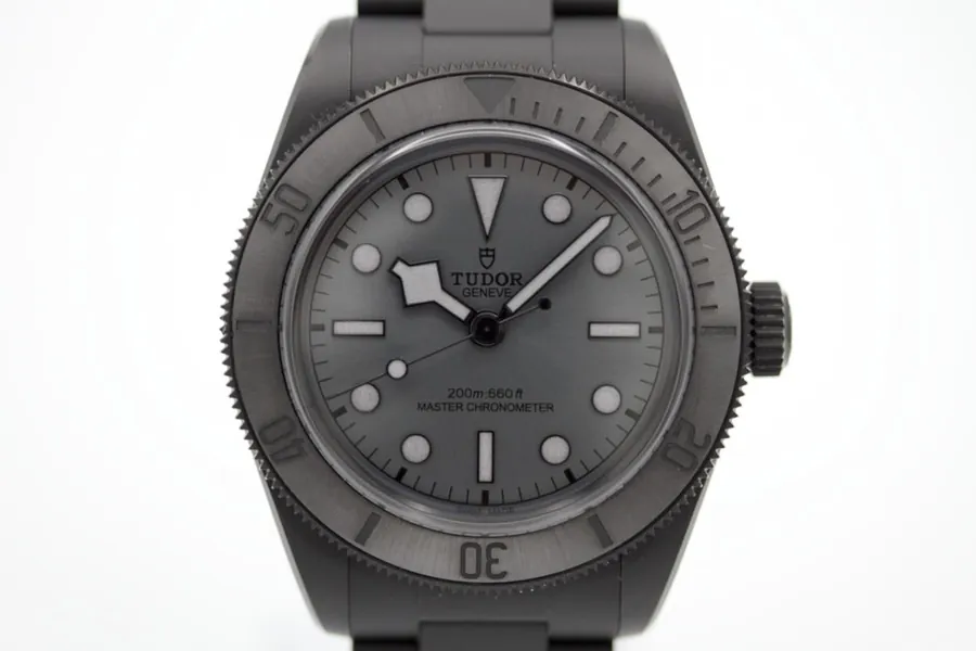 Tudor Black Bay